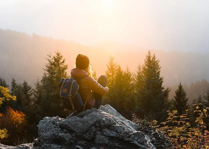 Fliana 4 4* Ишгль